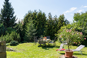 Apfelbaum im Garten